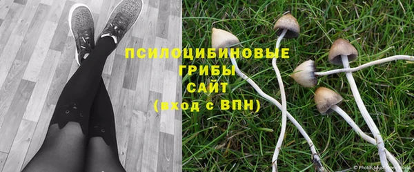 дурь Армянск