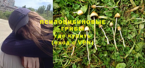 мескалин Аркадак