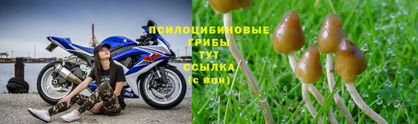 PSILOCYBIN Балахна
